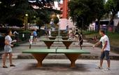 Туры в отель Delfin Plava Laguna