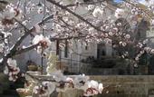 Туры в отель Melekler Evi Cave Hotel