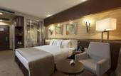 Туры в отель Holiday Inn Ankara - Kavaklidere