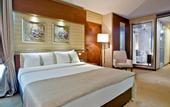 Туры в отель Holiday Inn Ankara - Kavaklidere
