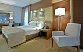 Туры в отель Holiday Inn Ankara - Kavaklidere
