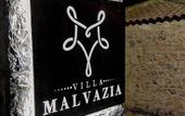 Туры в отель Villa Malvazia
