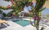 Туры в отель Paros Palace