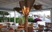 Туры в отель Paros Palace