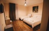 Туры в отель Sani Hotel Kutaisi