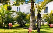 Туры в отель Flamingo Beach Mate