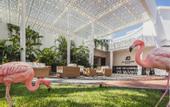 Туры в отель Flamingo Beach Mate