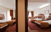 Туры в отель Botanik Hotel & Resort