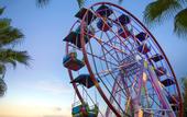 Туры в отель Delphin Deluxe Resort