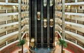 Туры в отель Delphin Deluxe Resort