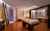 Туры в отель Elysium Elite Suites & Spa