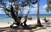 Туры в отель Zanzibar Bay Resort