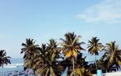 Туры в отель Liyanage Resort