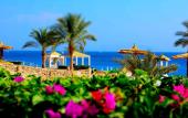 Туры в отель Royal Monte Carlo Sharm El Sheikh
