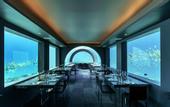 Туры в отель You & Me by Cocoon Maldives