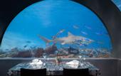 Туры в отель You & Me by Cocoon Maldives