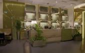 Туры в отель Royal M Hotel & Resort