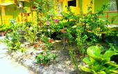 Туры в отель Wavelet Beach Resort