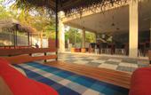 Туры в отель JJ's Hostel Mirissa
