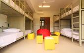 Туры в отель JJ's Hostel Mirissa