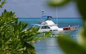 Туры в отель Denis Private Island