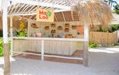 Туры в отель Catalonia Punta Cana