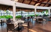 Туры в отель Catalonia Punta Cana