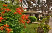 Туры в отель Sunset Beach Hotel
