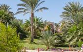 Туры в отель Dream Lagoon & Aqua Park Resort