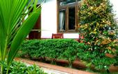 Туры в отель Camellia Resort & Spa