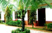 Туры в отель Camellia Resort & Spa
