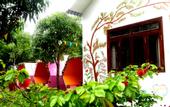 Туры в отель Camellia Resort & Spa