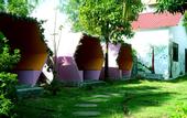 Туры в отель Camellia Resort & Spa