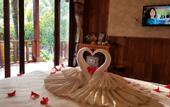 Туры в отель Mely Wow Phu Quoc Resort