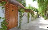 Туры в отель Dive Villa Thoddoo