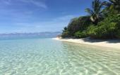 Туры в отель Dive Villa Thoddoo