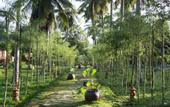 Туры в отель Paradiso Phu Quoc Resort