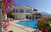 Туры в отель Villa Turquoise