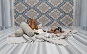 Туры в отель Casa Nonna Bodrum