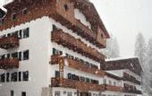 Туры в отель Des Alpes