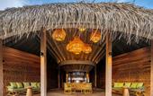 Туры в отель The Nautilus Maldives
