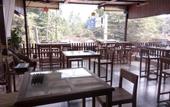 Туры в отель Flamingo Guest House