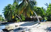 Туры в отель Le Coconut Lodge