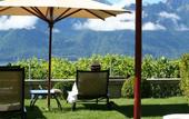 Туры в отель Des Trois Couronnes (Vevey)