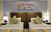 Туры в отель Coconut Tree Hulhuvilla Beach