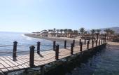 Туры в отель Dessole Holiday Taba Resort