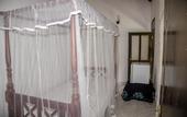Туры в отель Orchid Villa