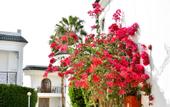 Туры в отель Seti Sharm