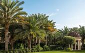 Туры в отель Raffles The Palm Dubai
