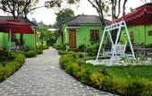 Туры в отель Mango Resort
